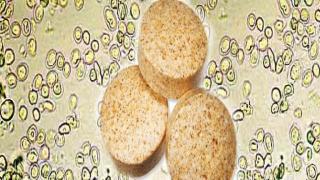 فوائد خميرة البيرة بأنواعها المختلفة في الحياة